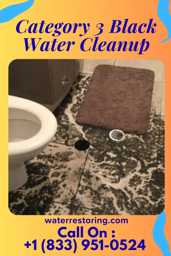Category 3 Black Water Cleanup in Embarrass, WI