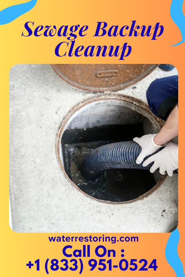 Sewage Backup Cleanup in Embarrass, WI
